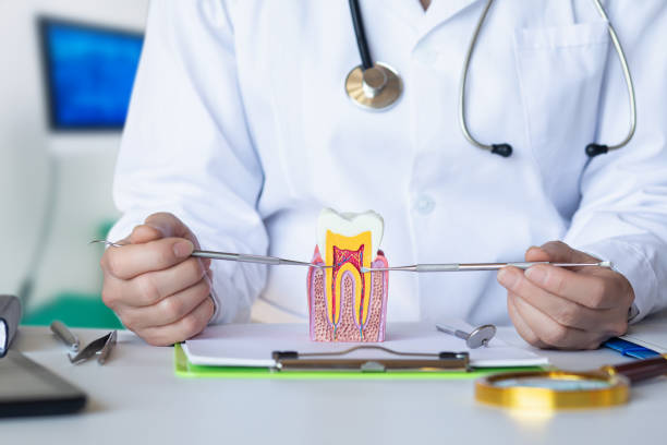 Professional Emergency Dental Service in LA